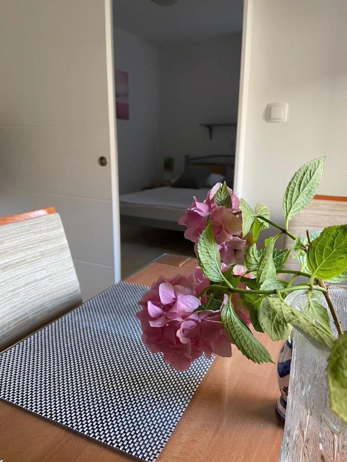 Duje & Roko Apartments شيبينيك المظهر الخارجي الصورة